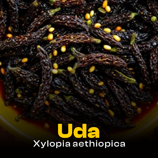 Xylopia Aethiopica — Uda